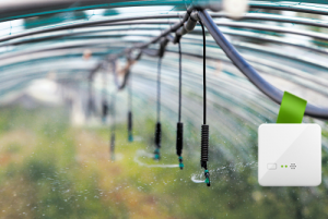 dudutags-agriculture